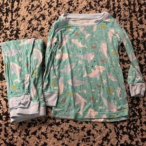 Little Sleepies Blue and White Pajama Set Soft and Cozy